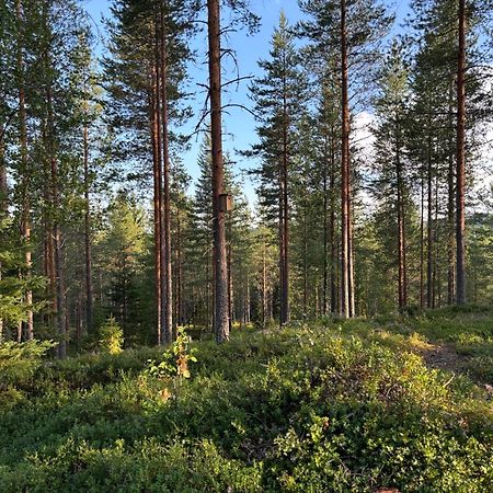 Loppiaiskaari 5, Paljakka Puolanka Esterno foto