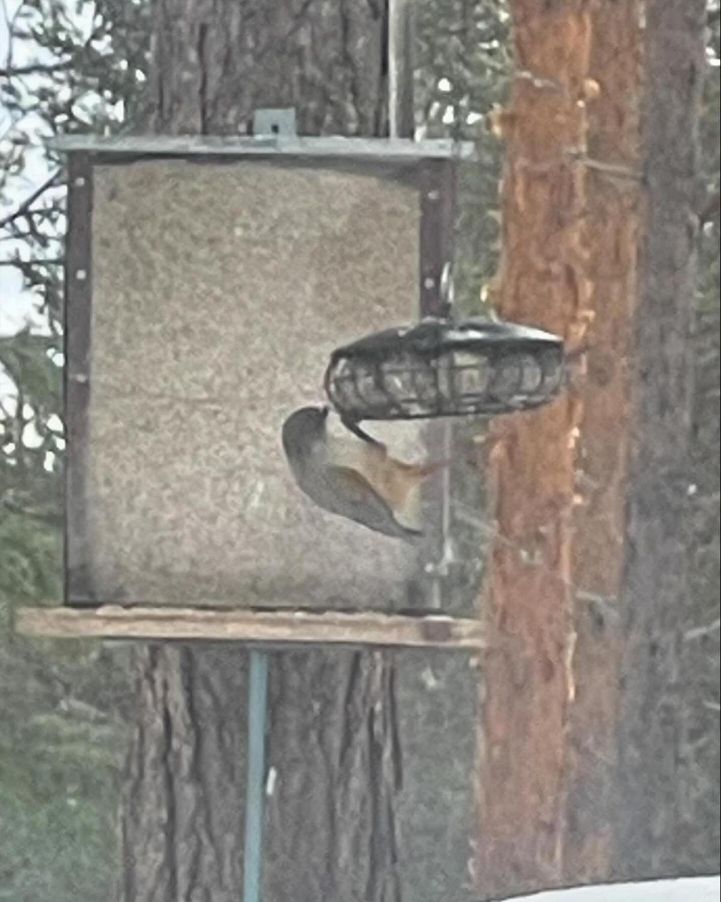 Loppiaiskaari 5, Paljakka Puolanka Esterno foto