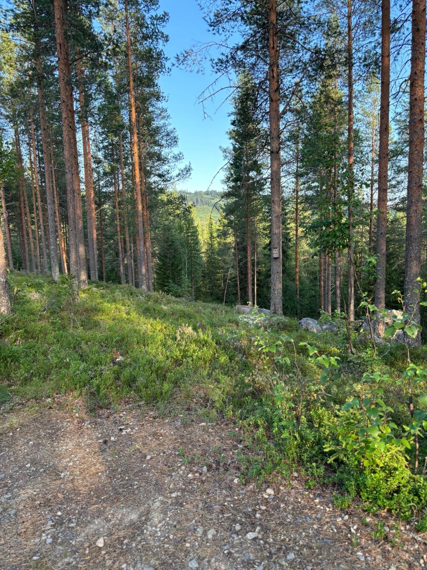 Loppiaiskaari 5, Paljakka Puolanka Esterno foto