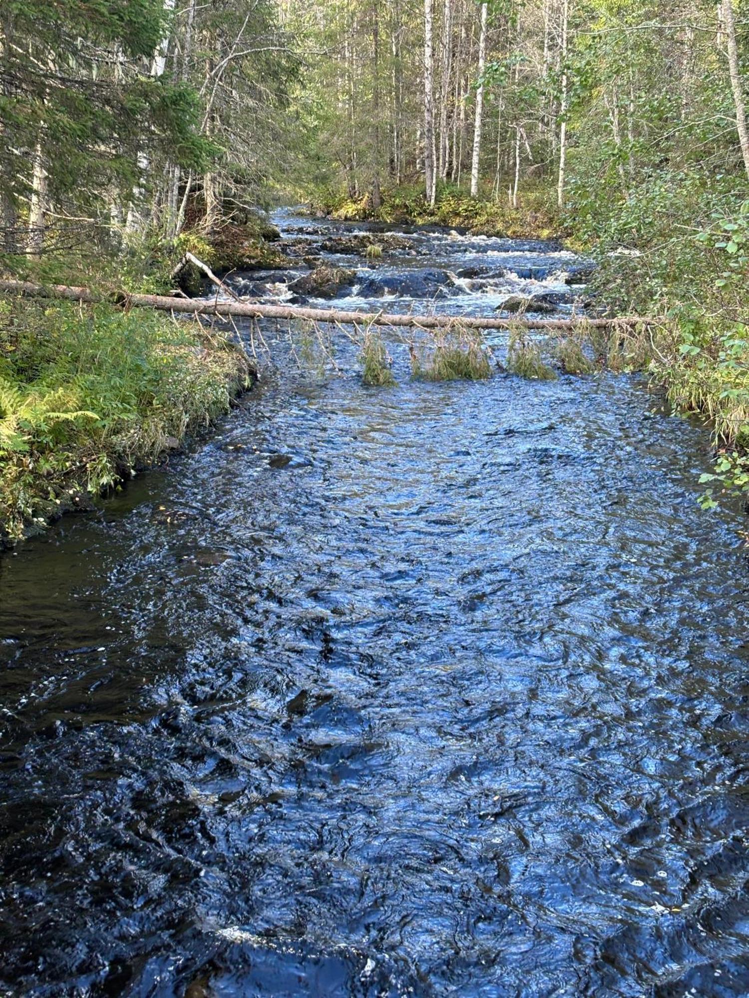 Loppiaiskaari 5, Paljakka Puolanka Esterno foto